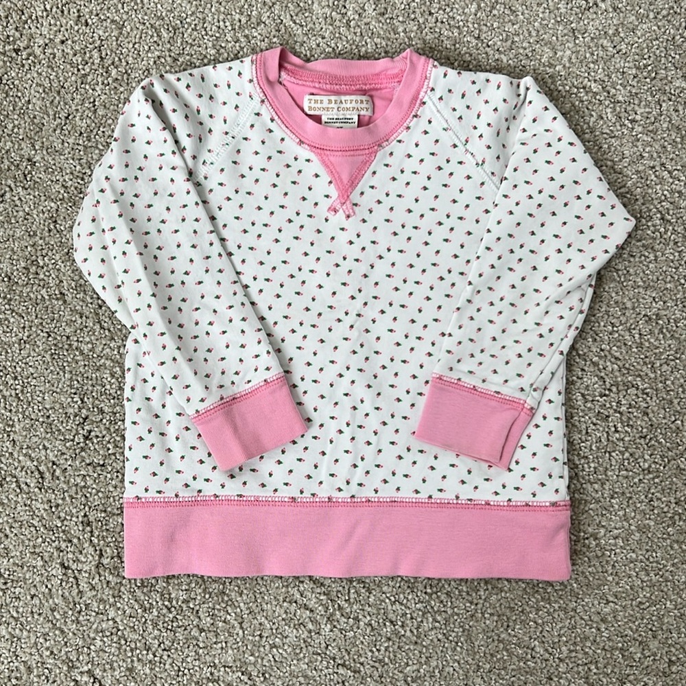 TBBC Cassidy Comfy Crewneck Rosebud print 2T
